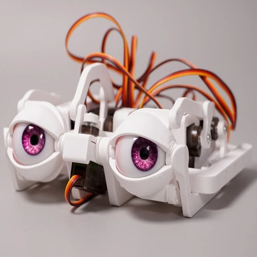 3D Printed Robotic Eyes