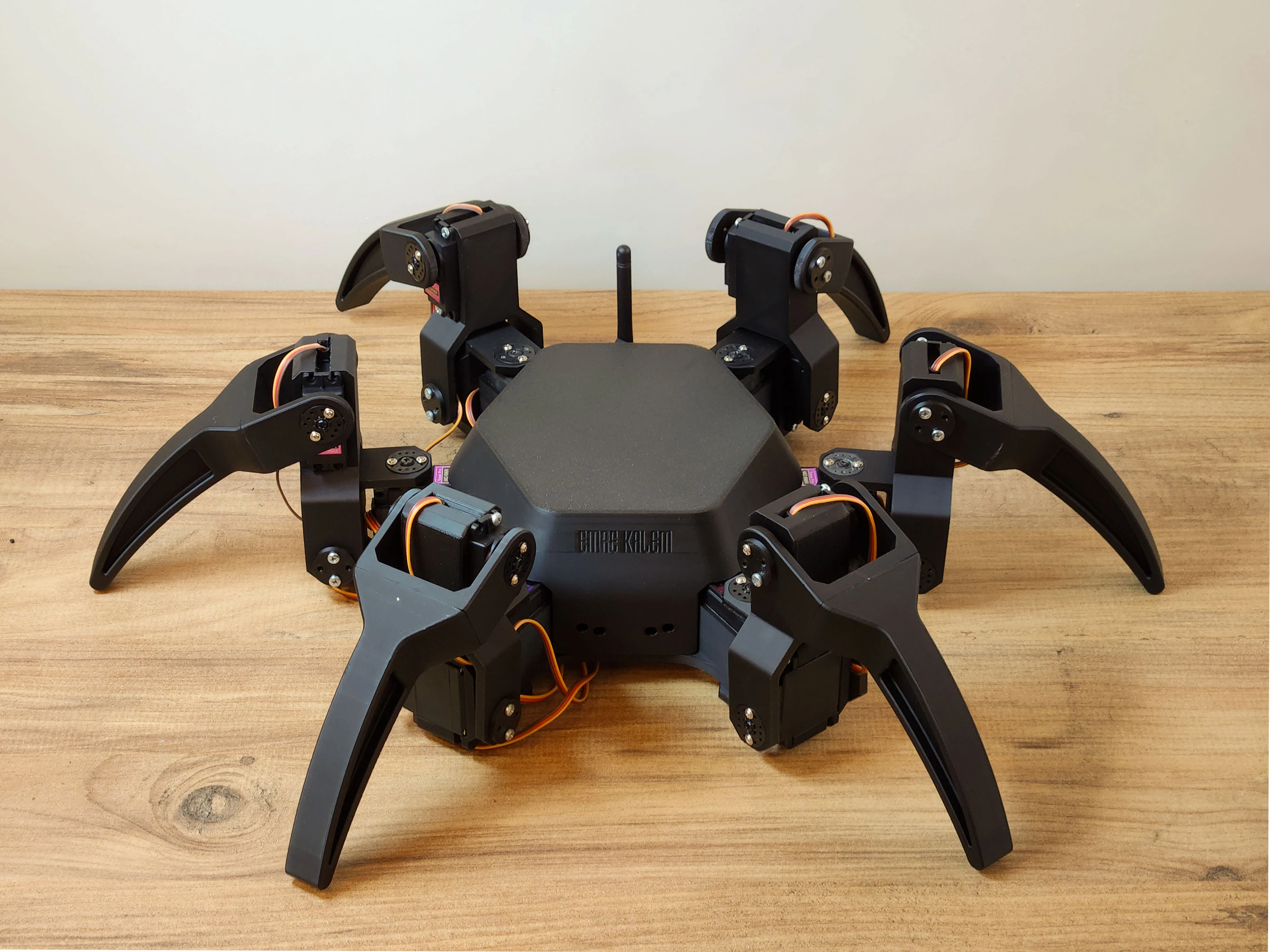 Hexapod Spider Robot